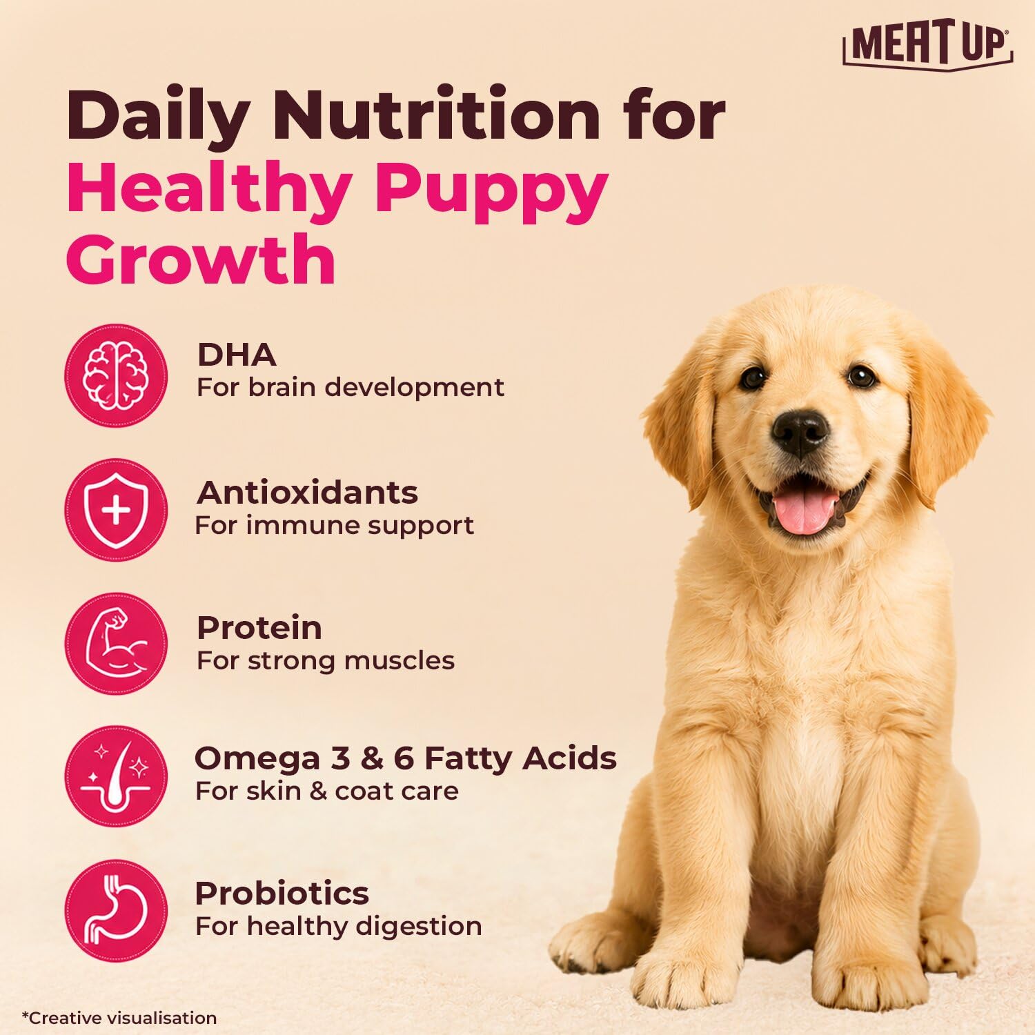 Meat Up Puppy Dry Dog Food 1.2kg Pack| Chicken & Milk Flavour | Supports Growth | Highly Palatable & Easily Digestible