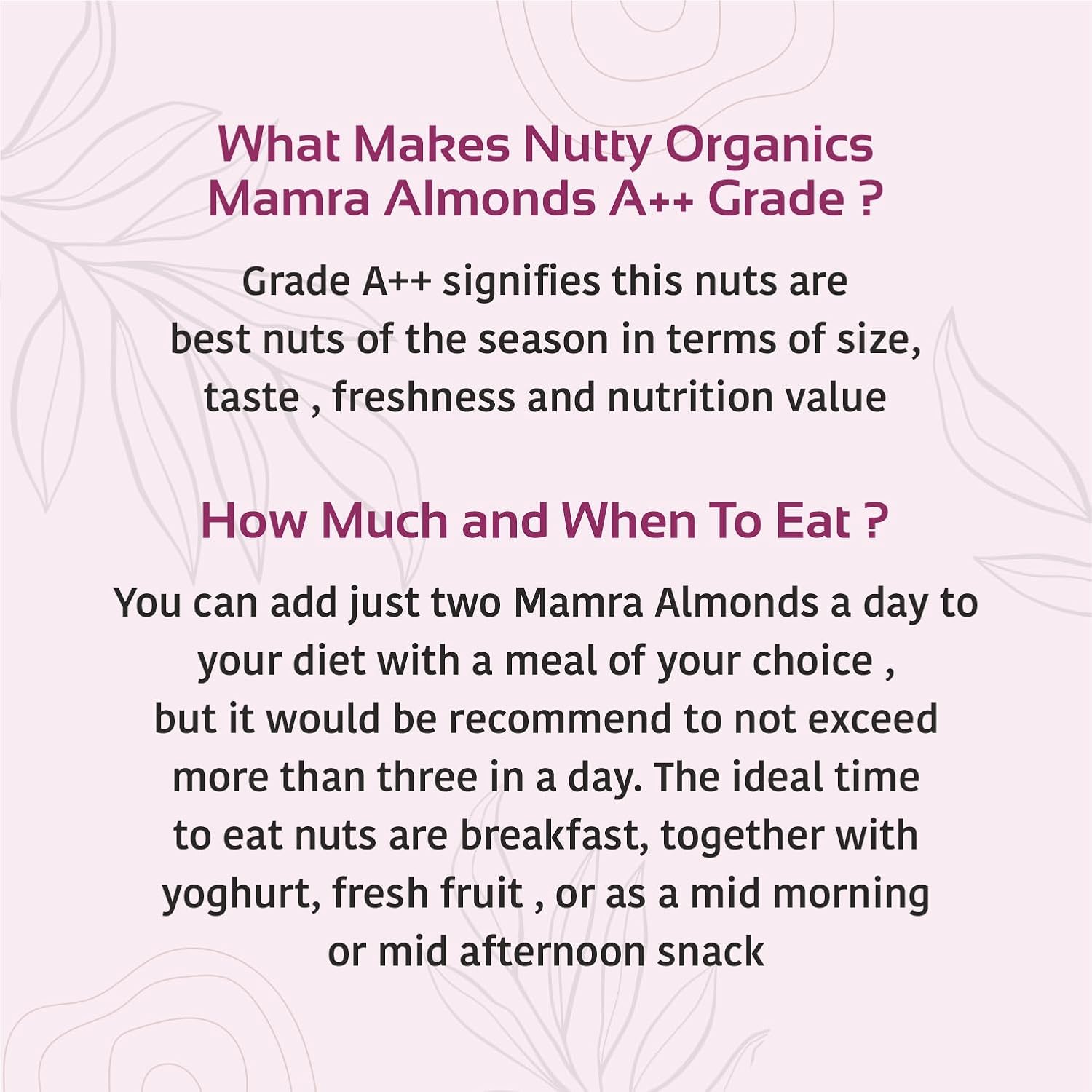 Nutty Organics Almonds Mamra - 500 GM (Grade A ++ Nuts, Premium, Rich In Oil) Richest Natural Source of Vitamins, Magnesium & Protien | Special Mamra Badam Giri