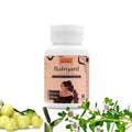 Ayurleaf Herbals - Hairgard Extract Blended Capsules 500 Mg 60 Veggie Capsules for Women