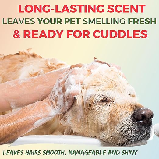 Pet Needs Oh My Dog Paraben Free Ultimate Pet Shampoo With Mini Soft Silicone Dispenser Brush for Puppies & Dogs - Berry-coconut | 1000 Ml