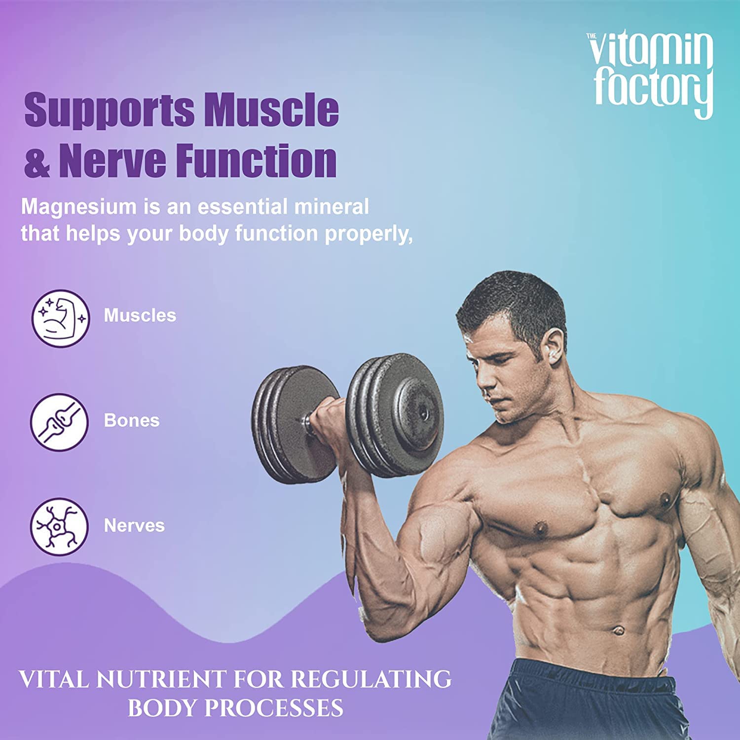 The Vitamin Factory Magnesium Glycinate Supplement - High Absorption Magnesium Supplements For Both Men & Women, Supports Sleep, Muscles & Nerve Health Supplements, 60 Vegetable Capsules