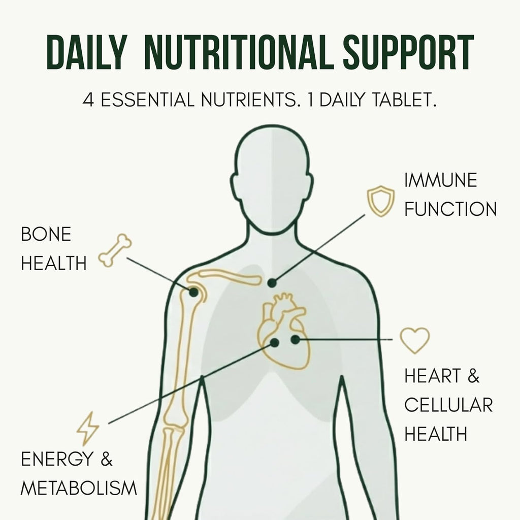 ANUPURAK Vegan D3 K2 B12 & Omega 3 DHA Tablets | 4-in-1 Daily Essential Supplement | Bone, Brain, Heart & Energy Support | D3 (Lichen) + K2 MK-7 (Natto) + B12 + 250mg Algal DHA | 120 Veg Tablets (120 Days)