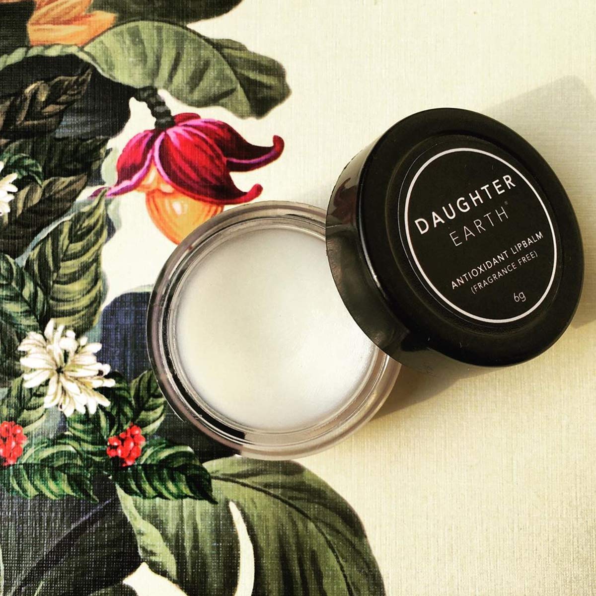 Daughter Earth Antioxidant Lip Balm Fragrance Free | Soft Pink Moisturized Lips | 6 Gms