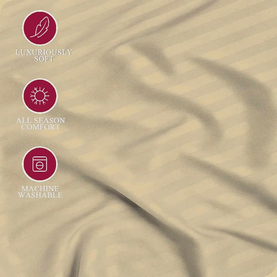 Trance Home Linen 100% Cotton 75x60 inch 200TC Satin Stripe Elastic Fitted Bedsheet Daily Use Double Bed with 2 Pillow Covers Colour Beige