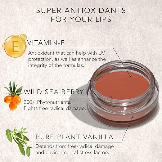 Daughter Earth Vegan Lip and Cheek Tint Matte Natural Blush for Women | Coffee Nude - 4.5 Gms