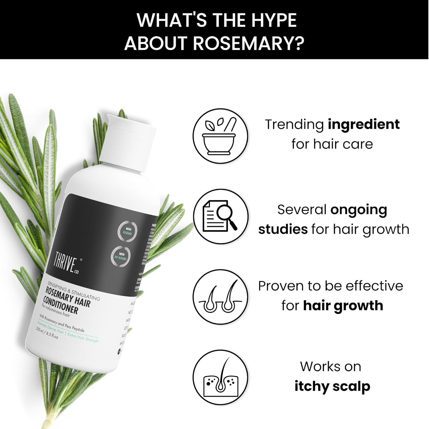 ThriveCo Rosemary Hair Conditioner | Helps Add Volume & Strengthen | With Pea Peptide & Caffeine | Densifying Formula for Fuller-Looking Hair | Paraben & Sulphate Free | For Men & Women | 250 ml