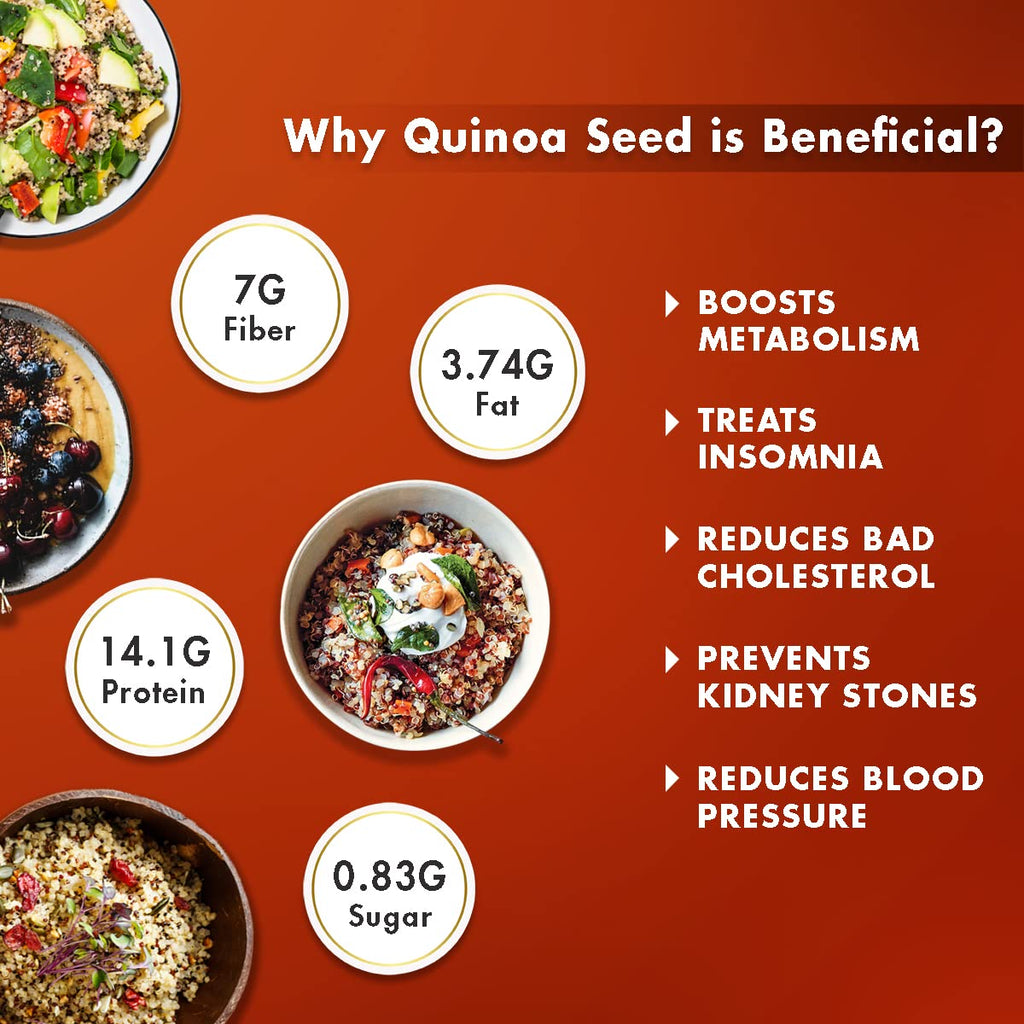 Sorich Organics Raw Sunflower for Eating | Unroasted Sunflower Seeds Kernel | High Protein, High Fiber, Vitamin E Rich Healthy Snack