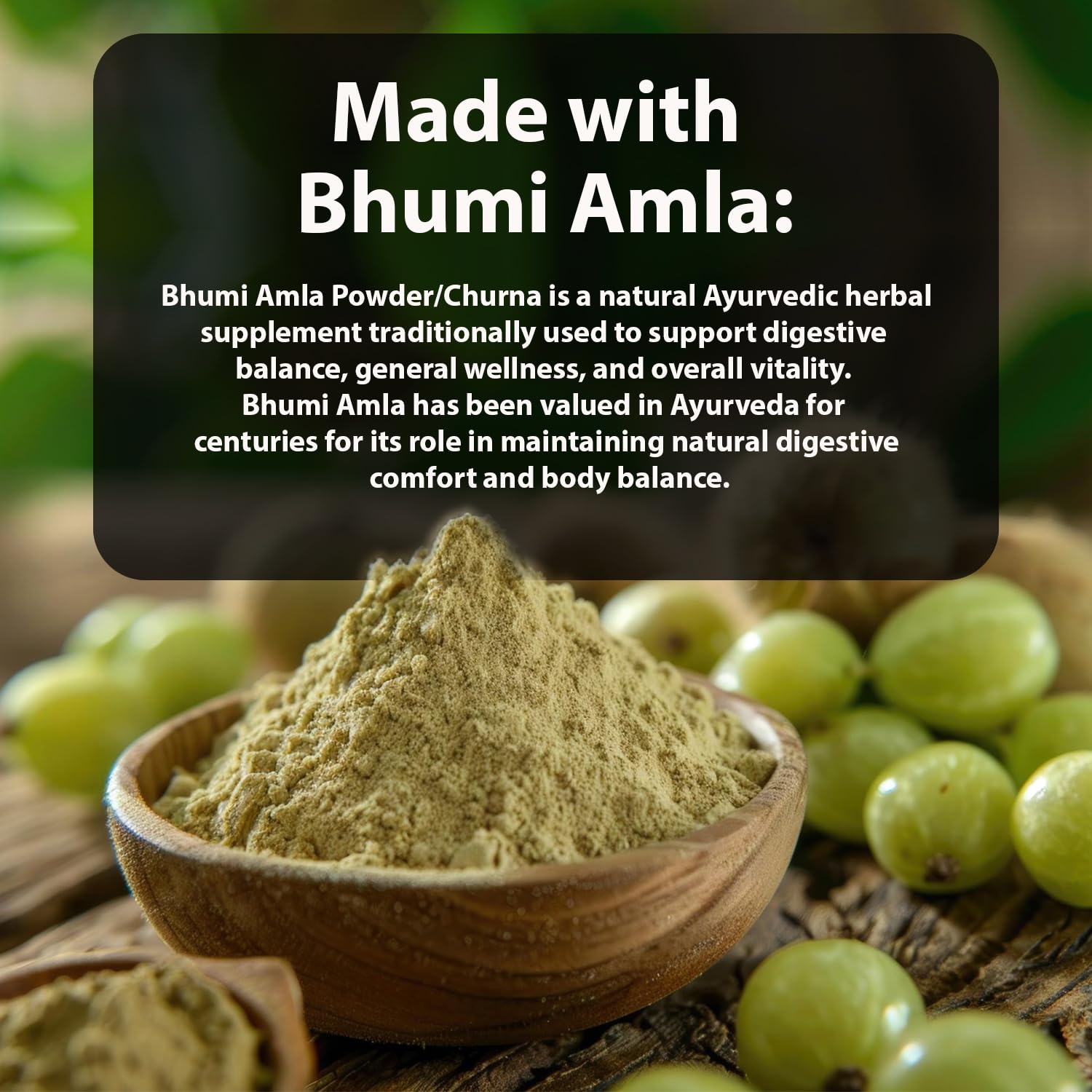 Bhumi Amla Powder/Churn - Organic And Pure Ingredient Extract For Healthy Liver Functioning And Digestive Strength | Enriched With Essential Nutrients (100 GM) (100 g (Pack of 1)