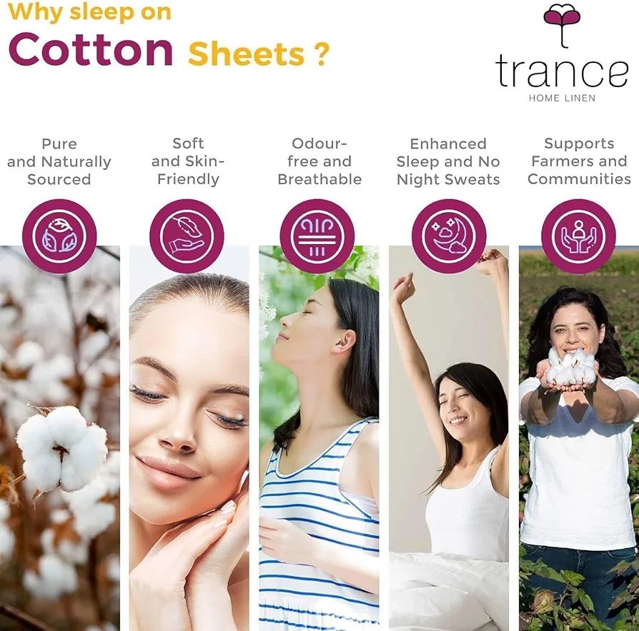 Trance Home Linen 100% Cotton 78x72 inch King Elastic Fitted Bedsheet 400TC Soft Durable Plain with 2 Pillow Covers Colour Brown Grey