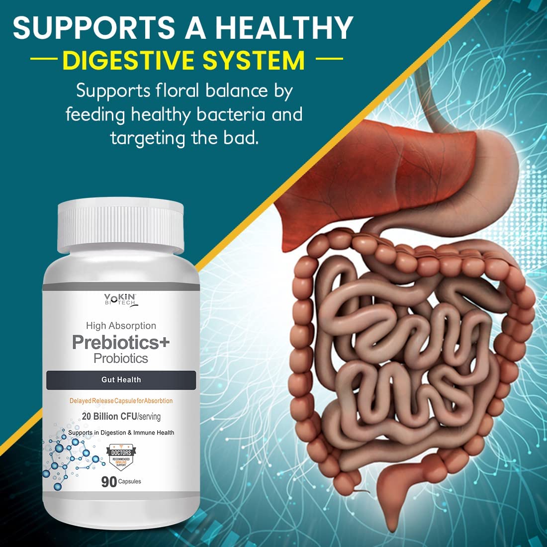 Vokin Biotech Prebiotics + Probiotics 20 Billion Cfu Supplement with Delayed-Release Capsules for Temperature Stable, Digestion and Immune Health (90 capsules)