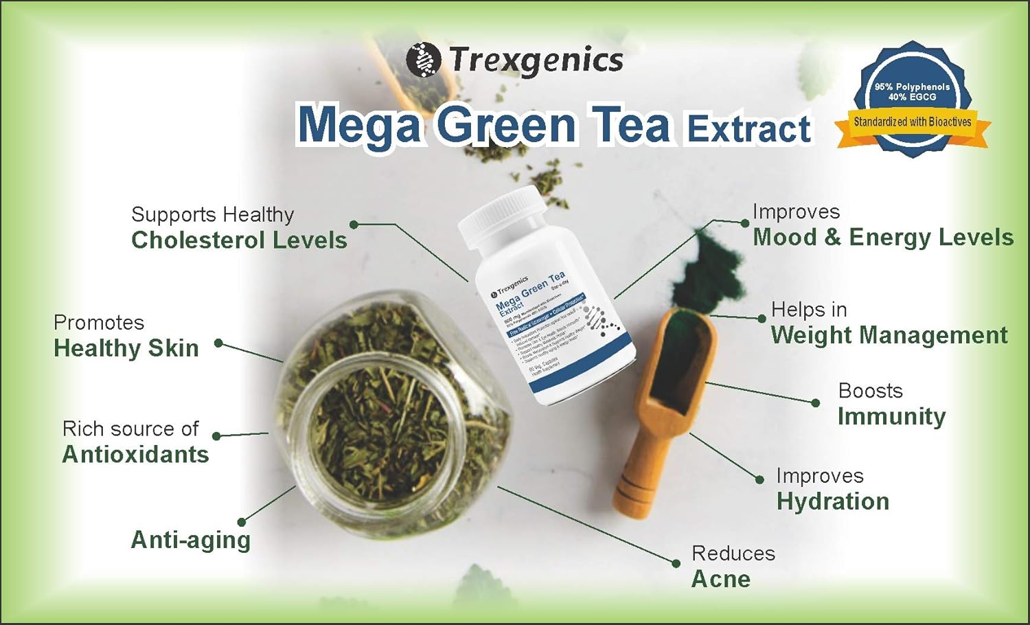 TrexgenicsÂ® MEGA Green Tea (Bioactive 95% Polyphenols) One-a-day Antioxidant, Free Radical Scavenger, Cellular Protection, Heart, Skin, Immunity & Metabolism (60 Vcaps) (1)