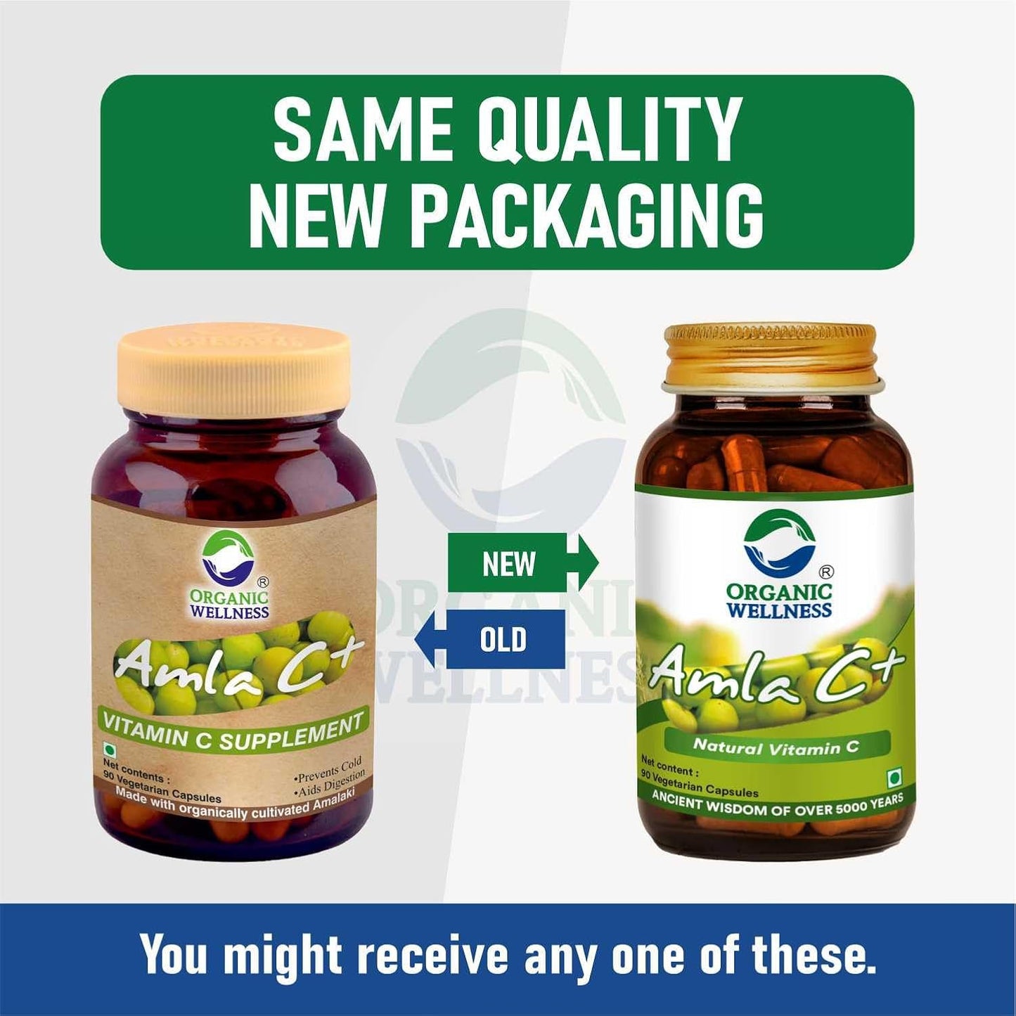 Organic Wellness Amla C+