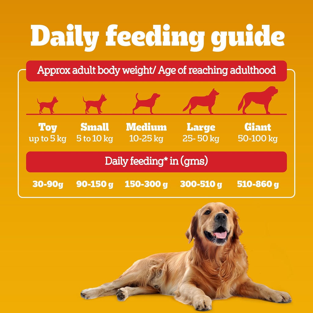 Pedigree Adult & Puppy Dry Dog Food, 100% Vegetarian, 1 kg, Contains 37 Essential Nutrients, 100% Complete & Balanced Food for Adult Dogs