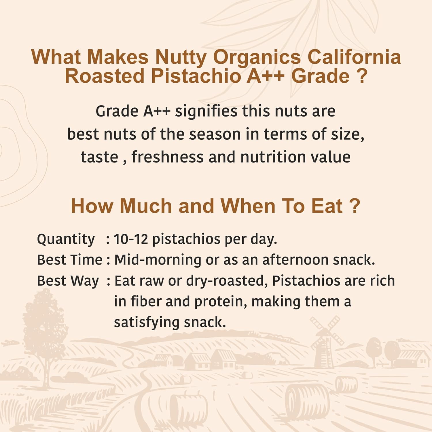 Nutty Organics California Roasted Pistachios 250 GM | Hand Selected Jumbo | Nutritious Tasty & Healthy Nuts Dry Fruits | Rich in Protein