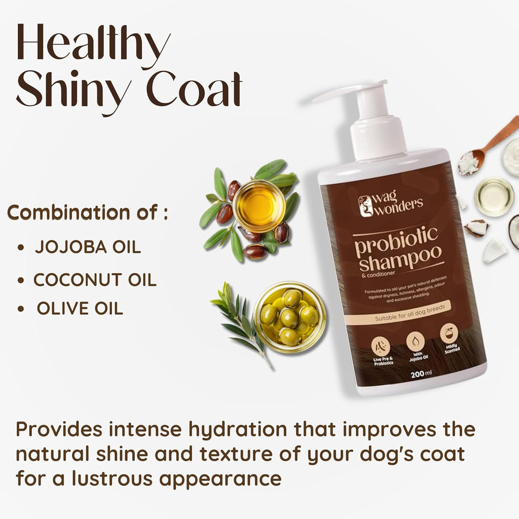 Wag Wonders 400 Ml Probiotic Shampoo for Dogs Natural Care From Healthy Bacteria | Helps in Improves Skin Health, Shinier Skin