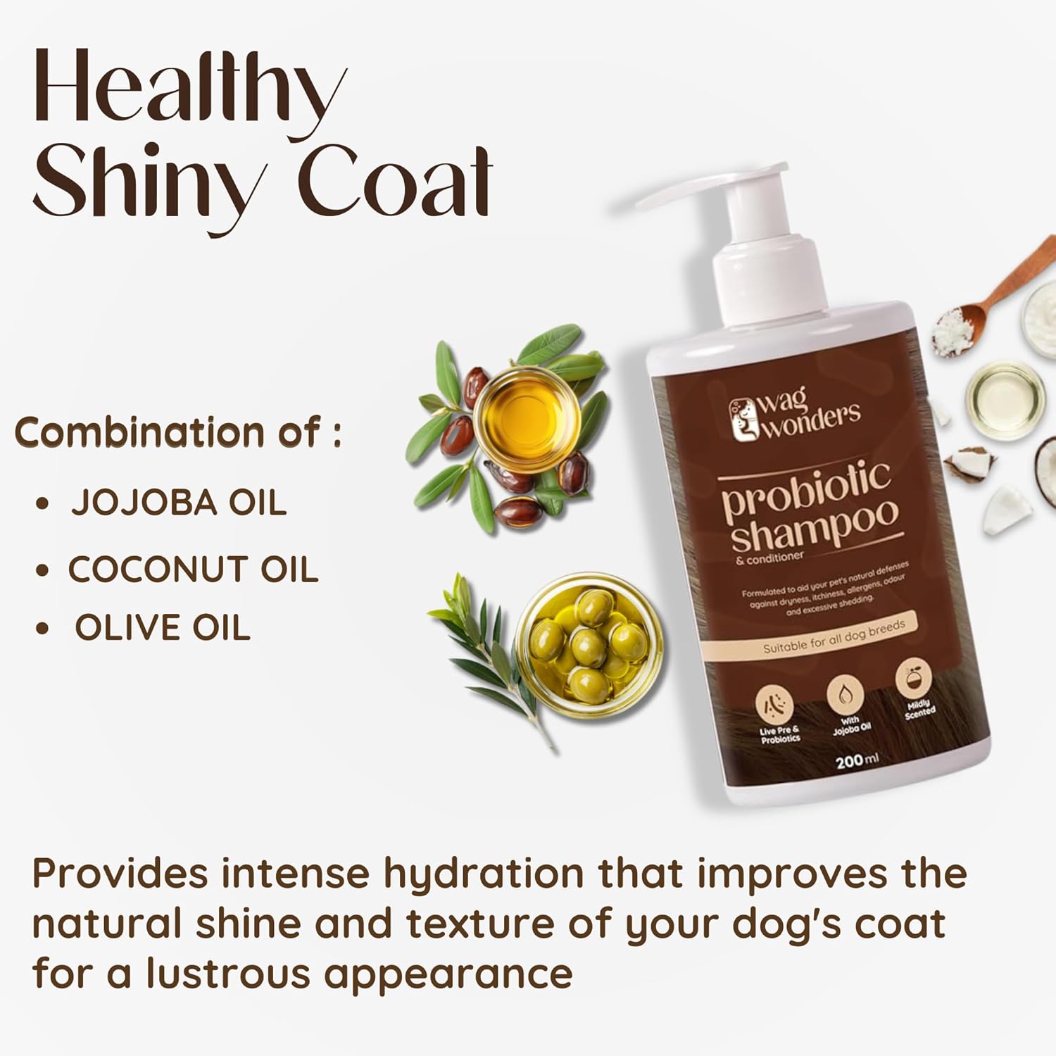 Wag Wonders 400 Ml Probiotic Shampoo for Dogs Natural Care From Healthy Bacteria | Helps in Improves Skin Health, Shinier Skin