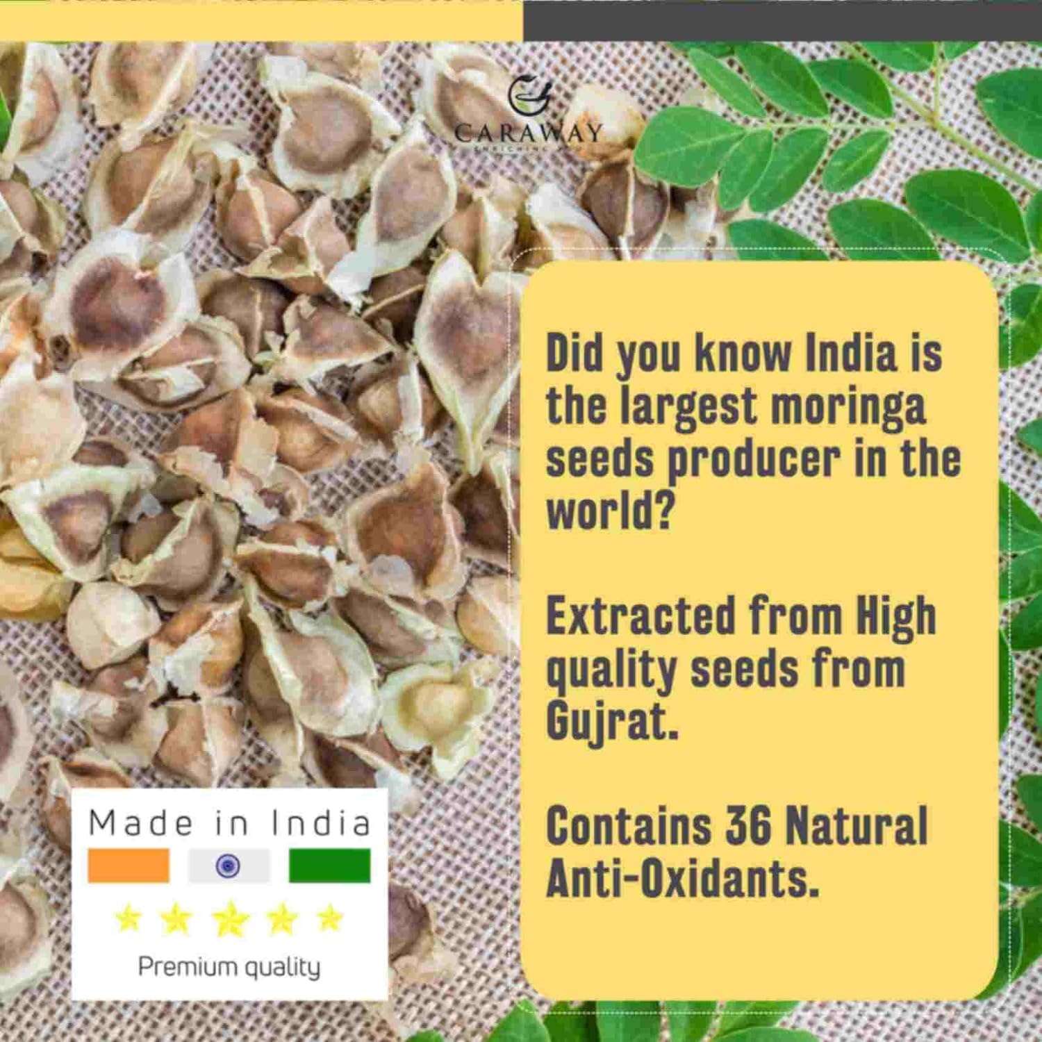 CARAWAY Organic Moringa Seed Oil