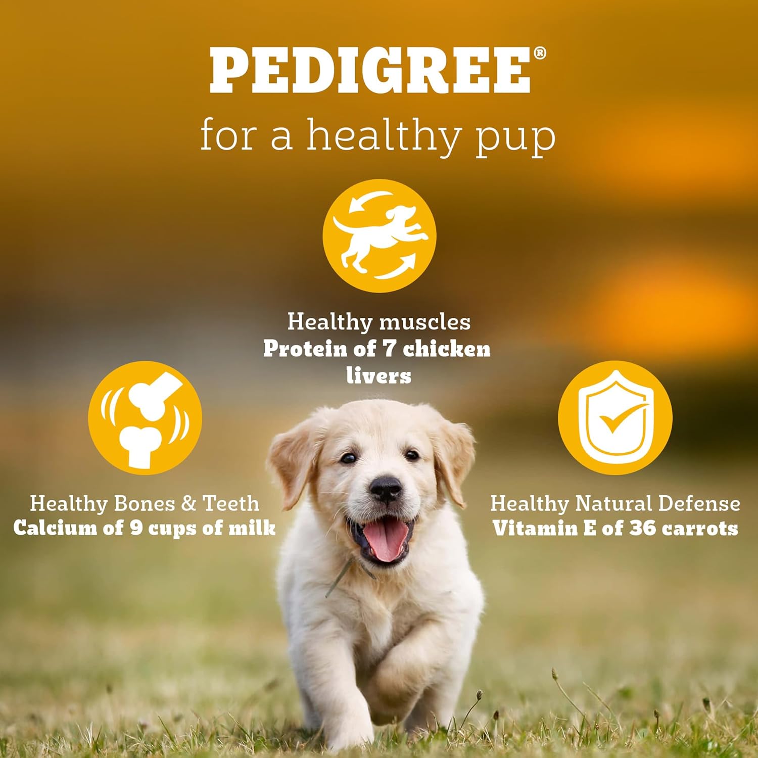 Pedigree Puppy Dry Dog Food, Chicken & Milk, 1 kg, Contains 37 Essential Nutrients, 100% Complete & Balanced Food for Puppies