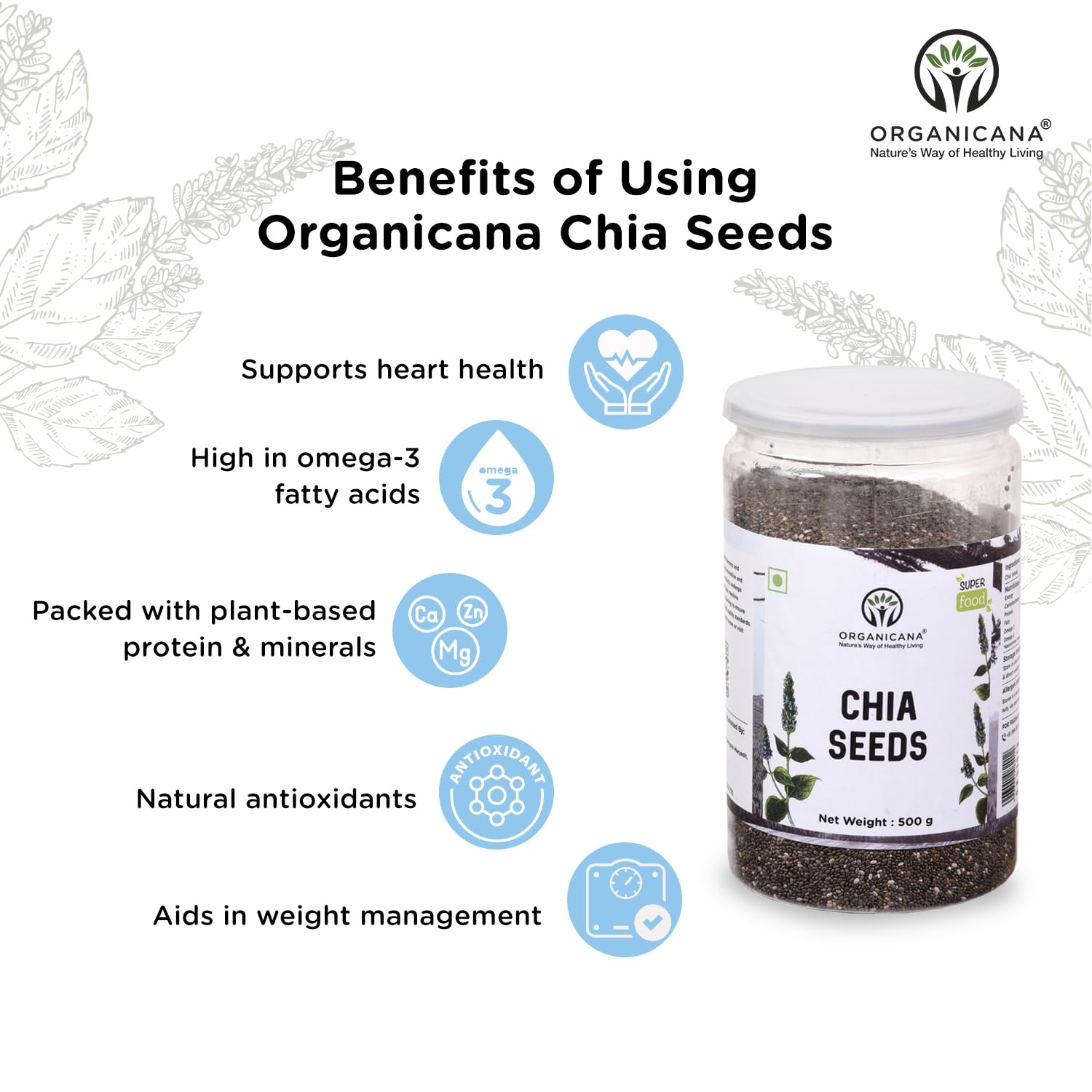 Organicana Chia Seeds - 500g (Pack of 1) 100% Natural & Unpolished Superfood | Rich in Omega-3, Fiber & Protein | Supports Weight Loss, Digestion & Energy