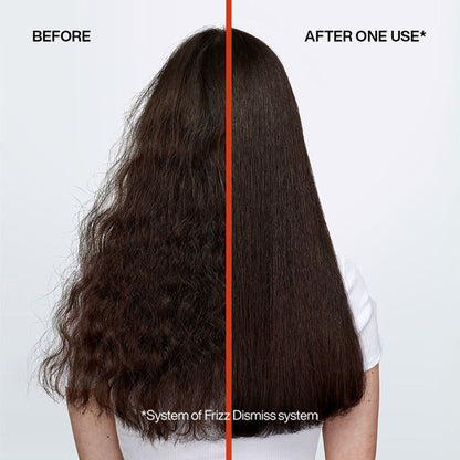 Redken Frizz Dismiss Sulphate Free Shampoo & Hair Mask Combo With Smoothening Complex