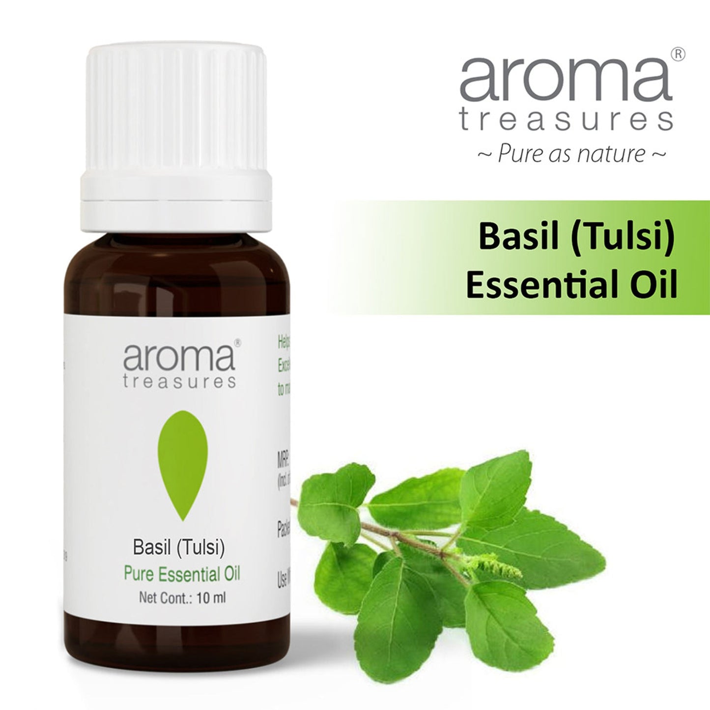 Aroma Treasures Basil (Tulsi) Pure Essential Oil