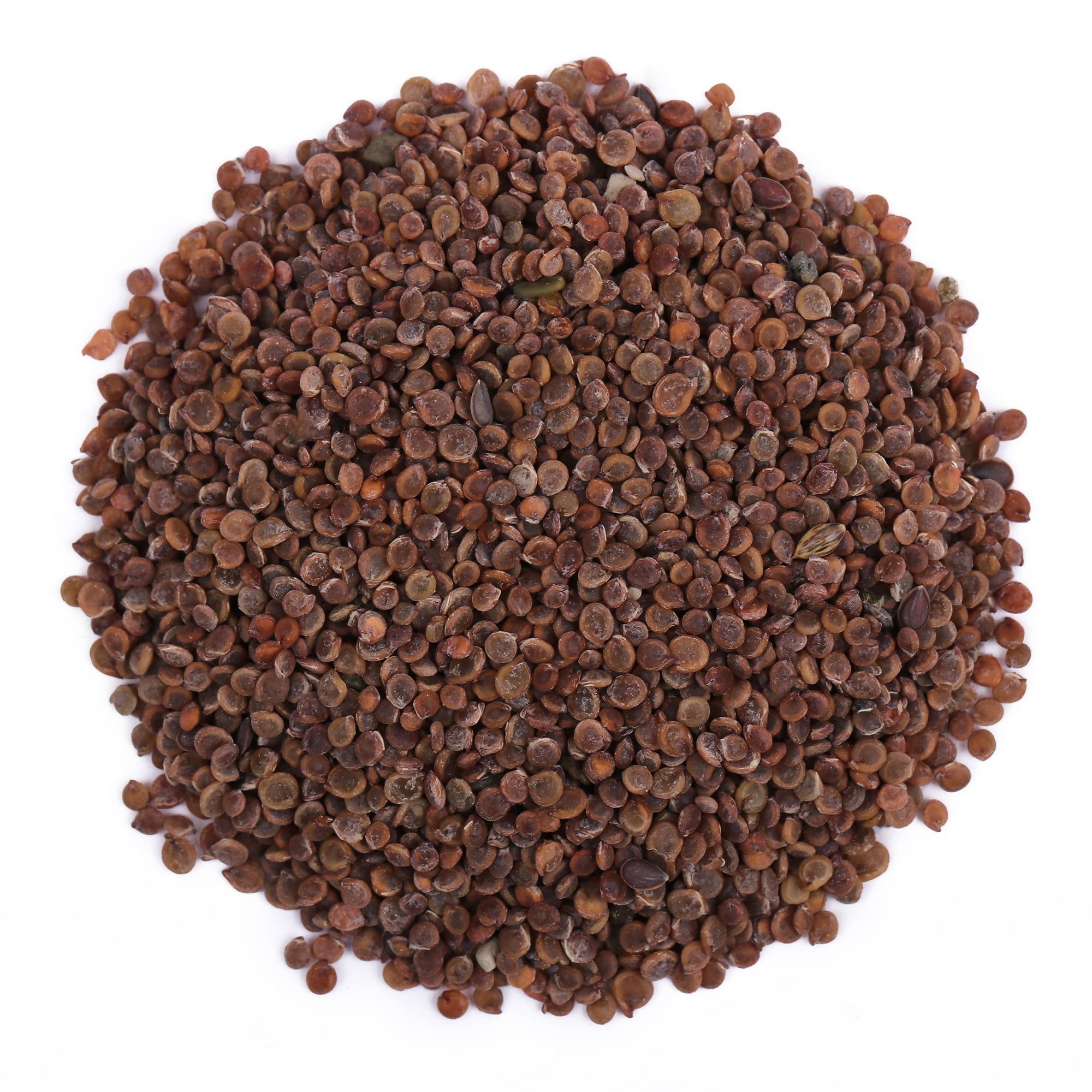 Yuvika Todri Safed - Tudri Safed Beej - Lepidium iberis - 50 gms