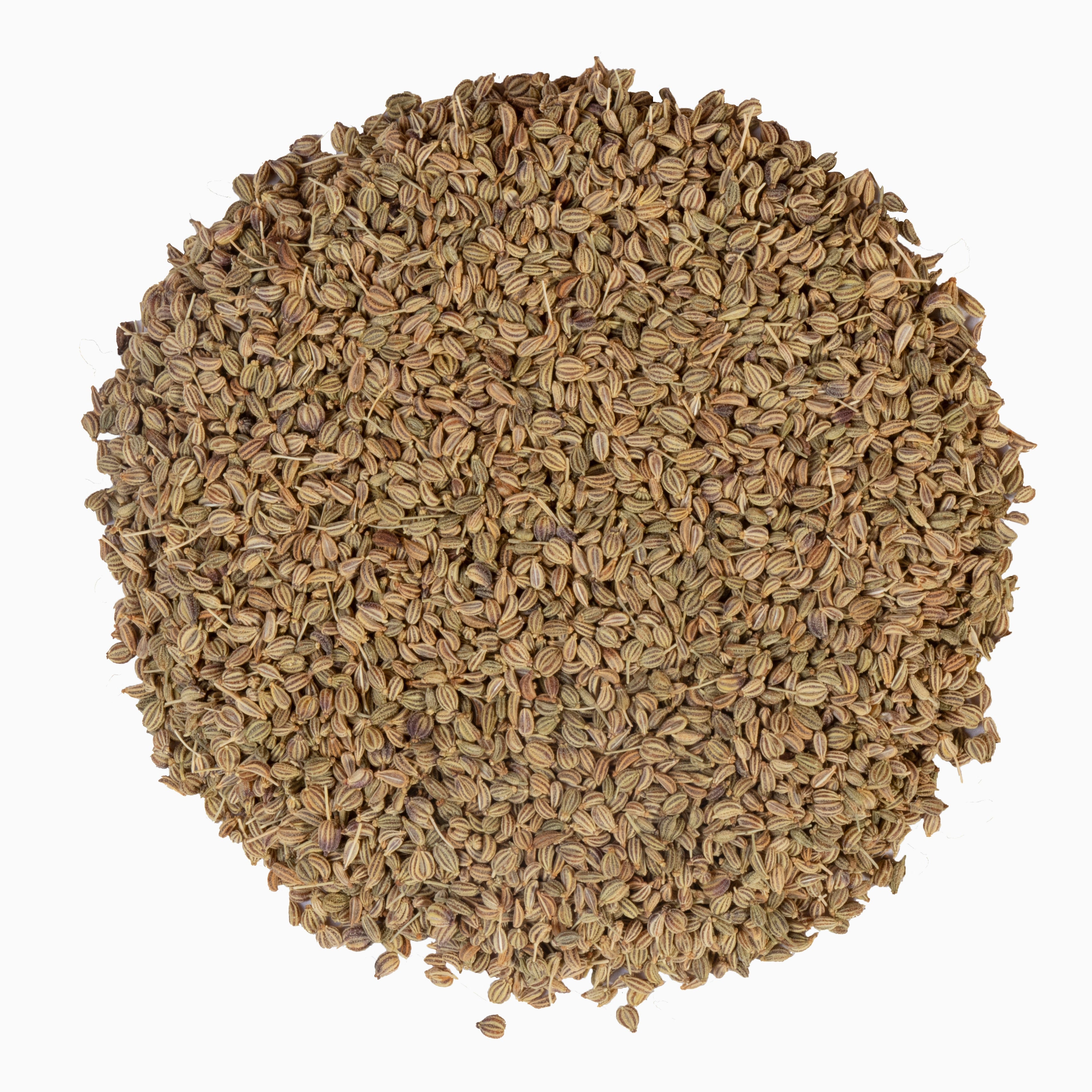 Yuvika Ajwain Desi Barik - Carom Copticum - Carom Seeds Small