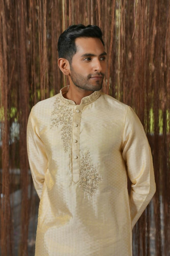 Cream Kanjivaram Machine Embroidered Pattu Set by Hilo Design