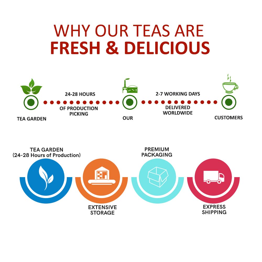 Teacurry CCF Tea - Cumin Coriander Fennel Tea - 30 teabags