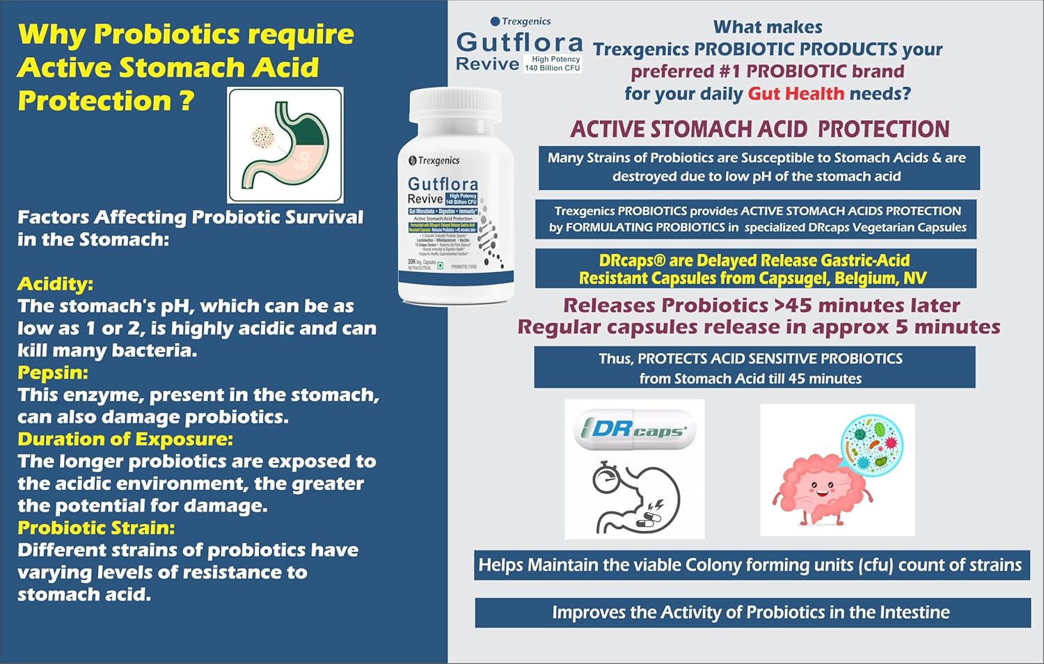 Trexgenics GUTFLORA-REVIVE Probiotics 140 Billion CFU/Delayee release stomach acid protection capsules, Gut Microbiota, Digestive Health & Immunity (30 Veg Capsules)