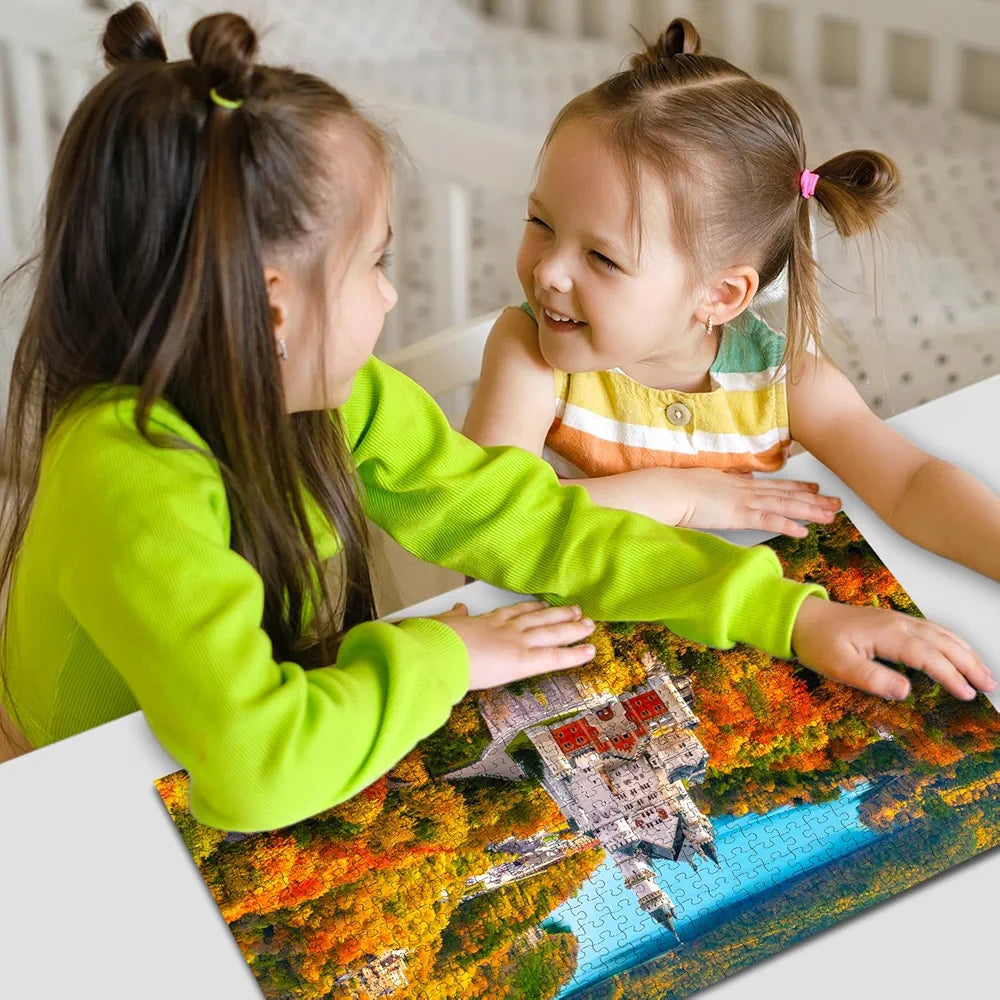 Hello Friend Neuschwanstein Castle Jigsaw Puzzles for Kids and Childrens Realistic Illustration