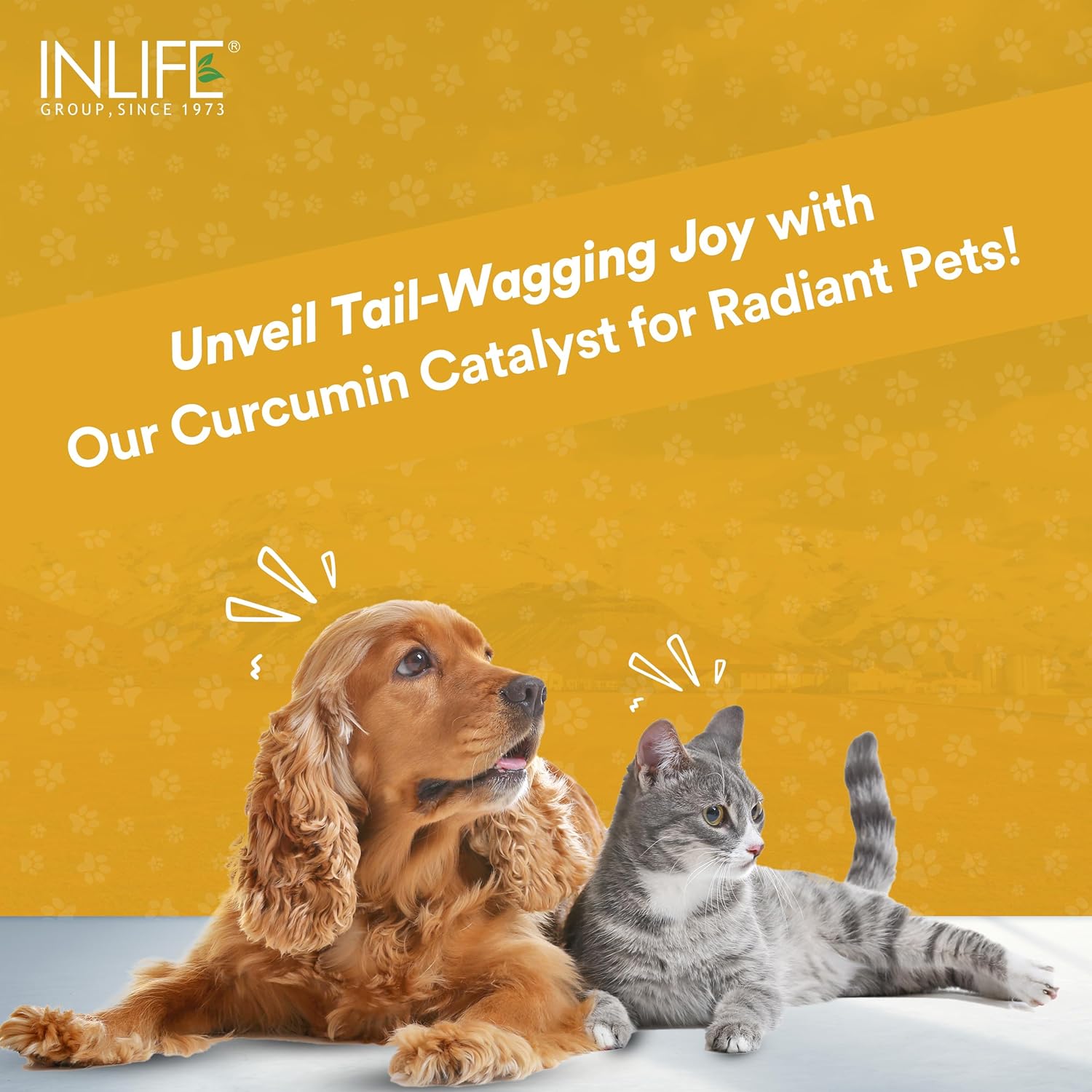 INLIFE Curcumin with Piperine for Dogs Cats and Pets 95% Curcuminoids for Immunity Liver Function and Ease Inflammation- 60 Vegetarian Capsules
