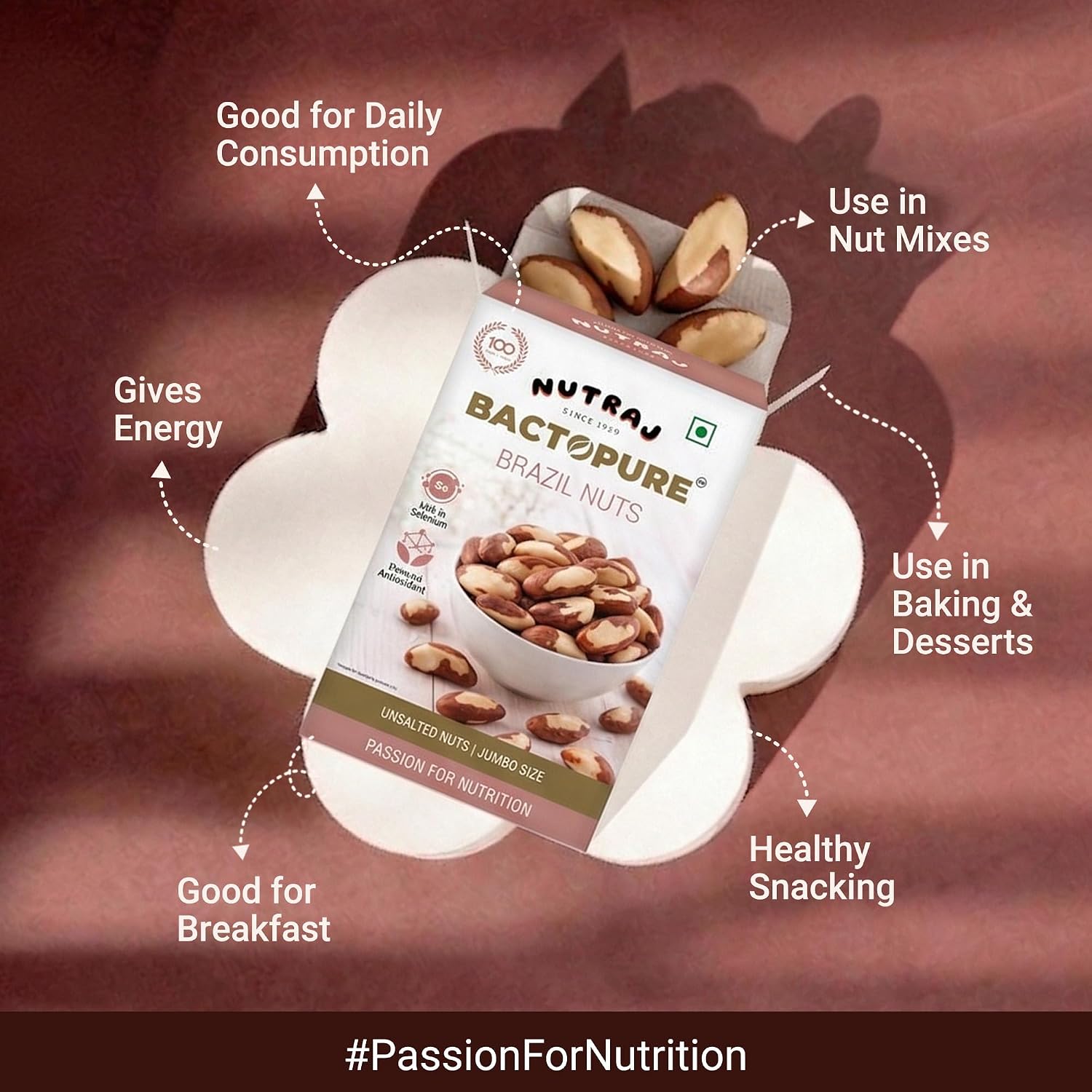 Nutraj Brazil Nuts Roasted 100g Pouch | No Added Preservatives | Handpicked & Exotic | Raw & Unsalted Natural Whole
