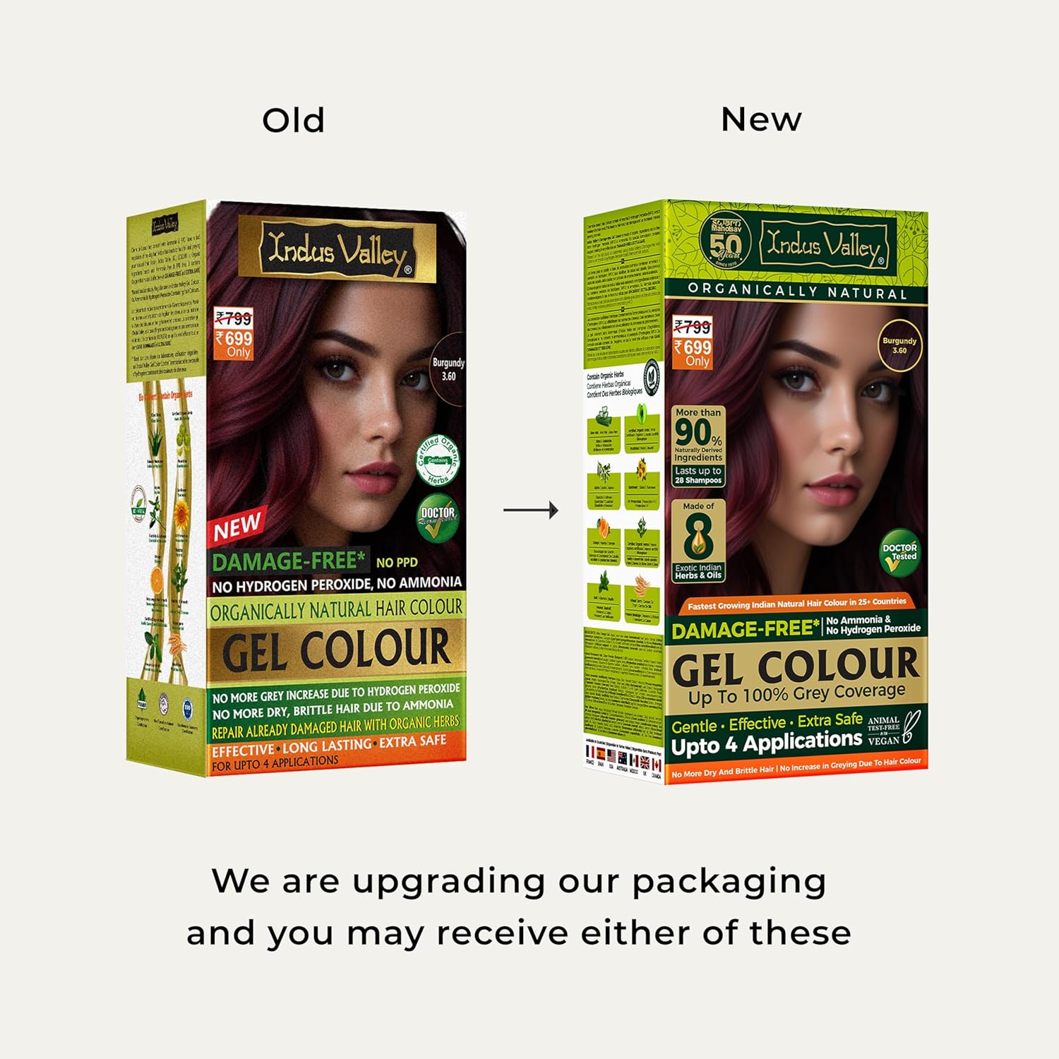 Indus Valley Organically Natural Gel Hair Color Burgundy 3.6 - 220 gms