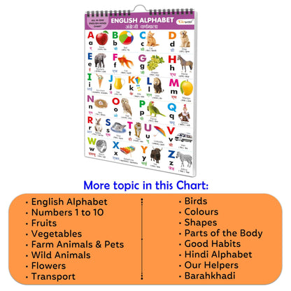 English-Hindi Chart For Kids (16 Charts ) 36 X 50 Cm - Children Spiral Wall Picture Chart