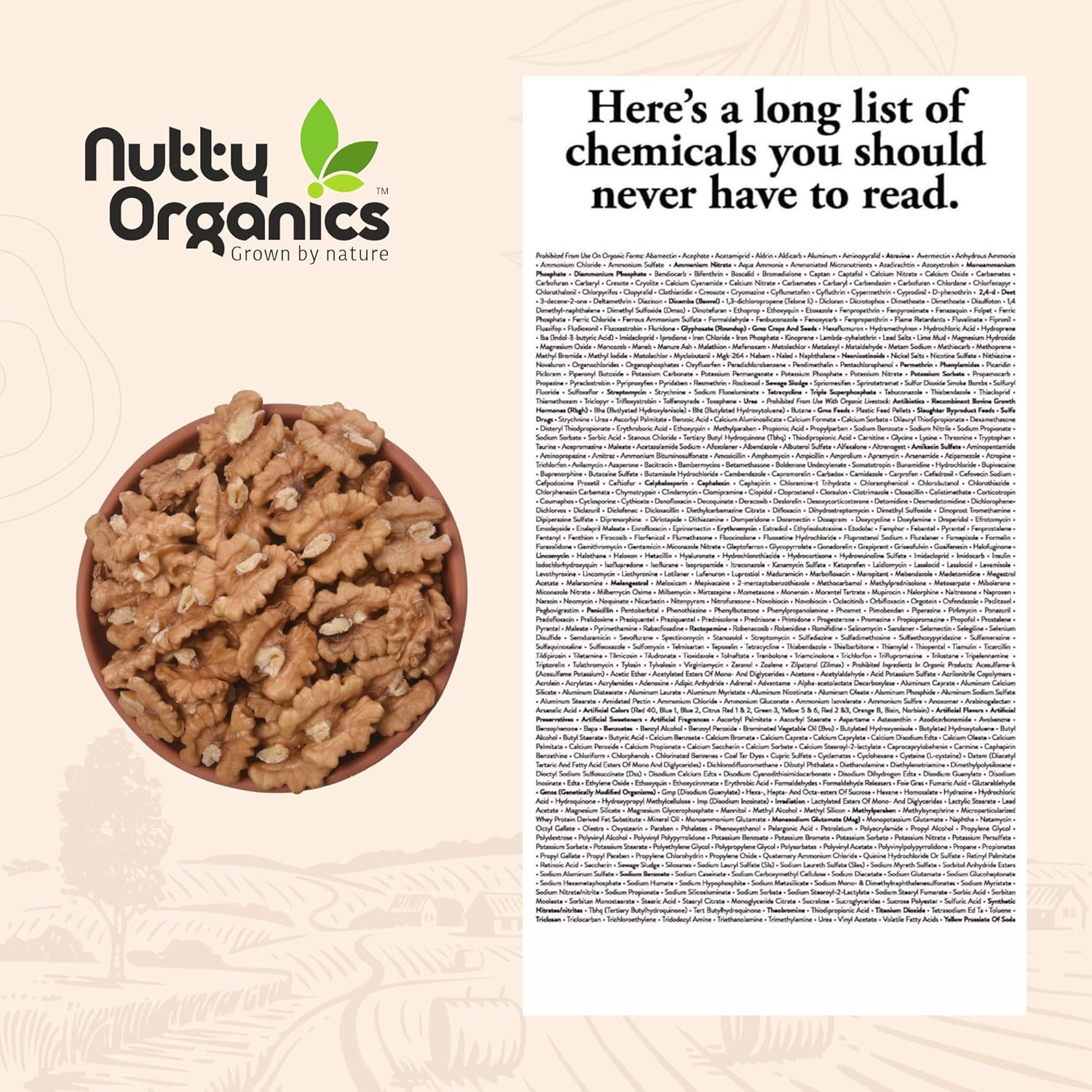 Nutty Organics Dried Walnut 250 Gm | Crunchy | Nutritious Tasty & Healthy Nuts Dry Fruits | Akhrot Giri | Rich in Protein