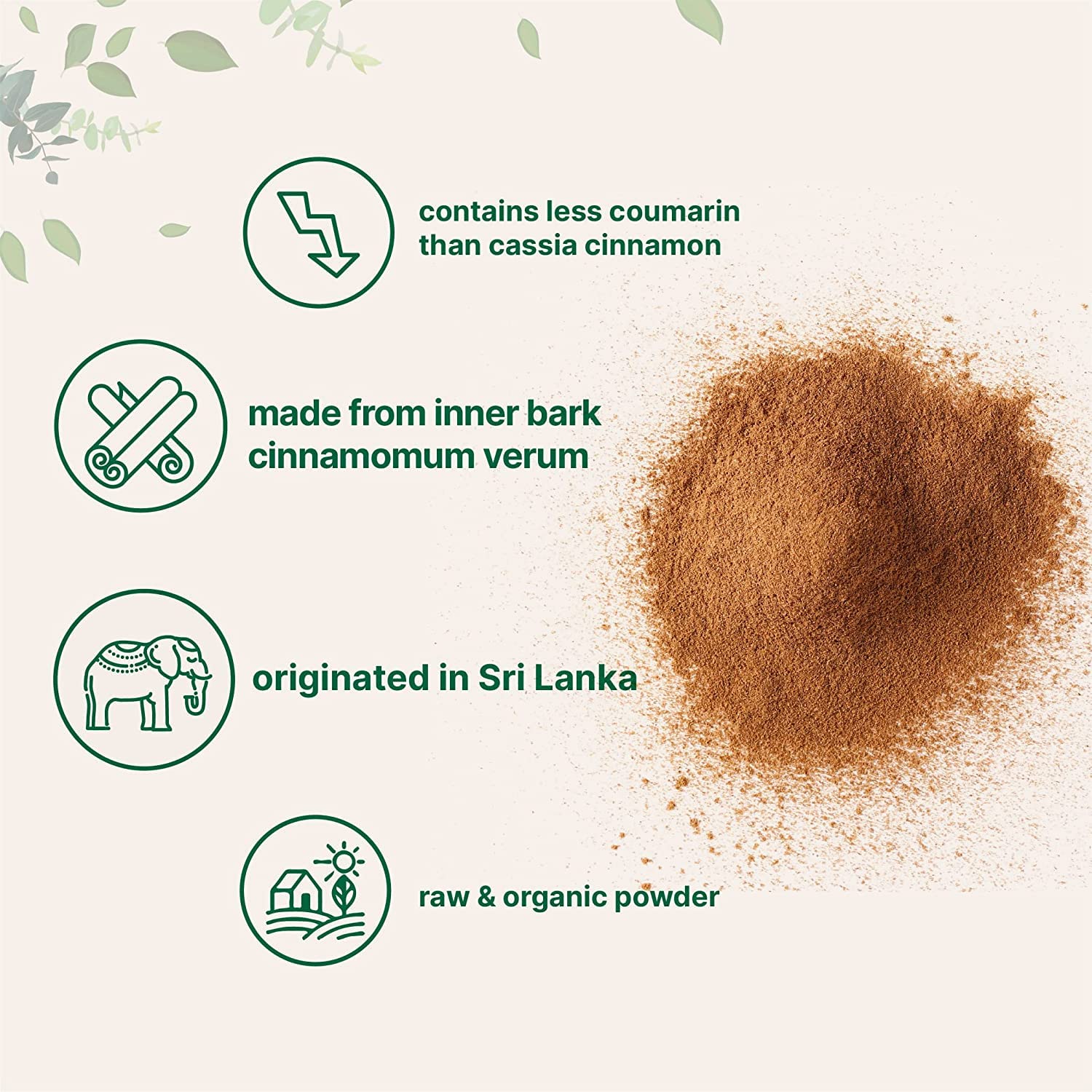 Namo Organics - Cinnamon Powder 100g | Dalchini Ceylon Cinnamon Power | 100% Pure & Natural | Dalchini Powder 100gm Indian Spices Aroma & Flavour