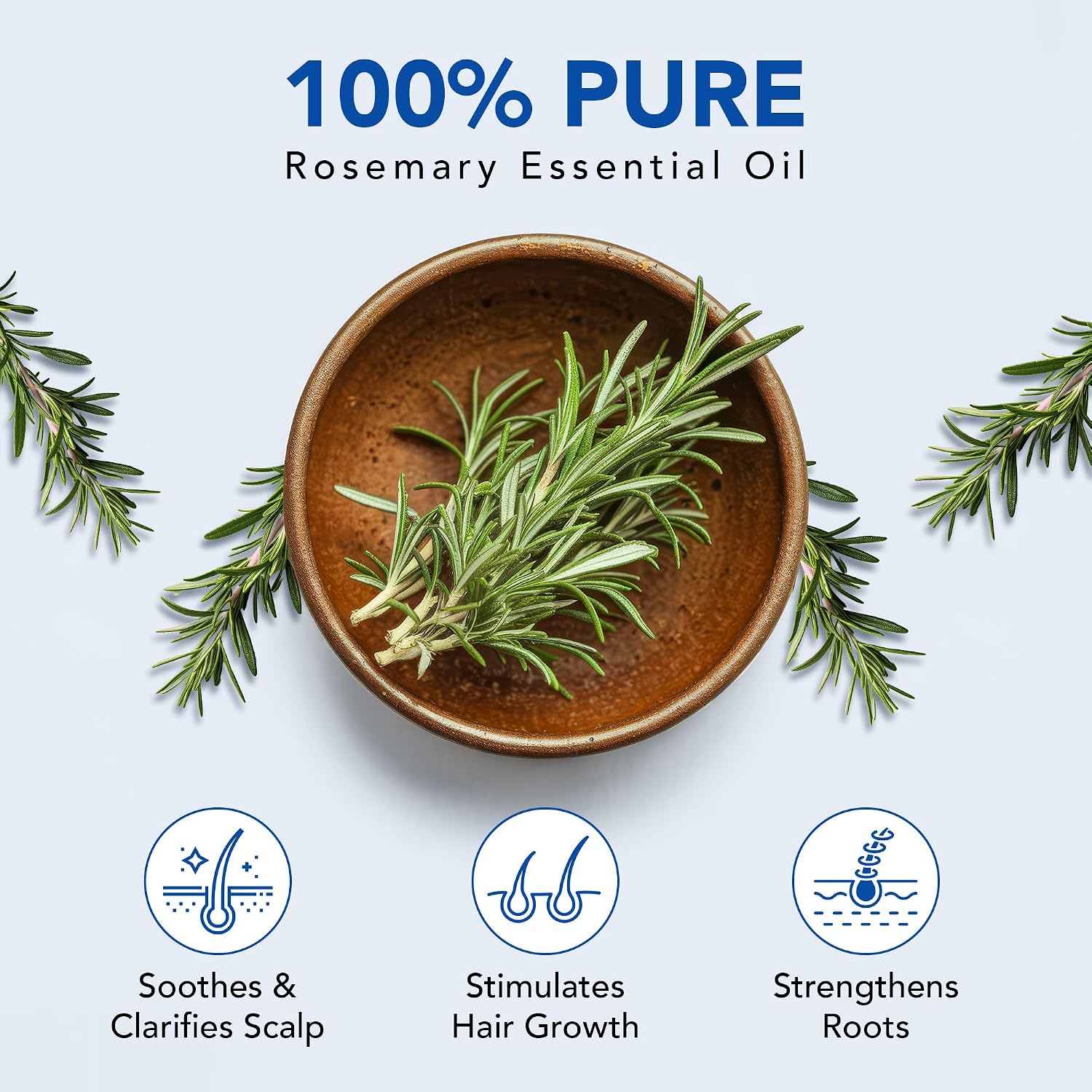 Botanic Hearth Rosemary Essential Oil for Hair Growth & Hair Fall Control | Clinically Tested 100% Pure & Natural | Strengthens, Nourishes, Promotes Thick Hair Growth | Scalp Care Treatment | 30ml