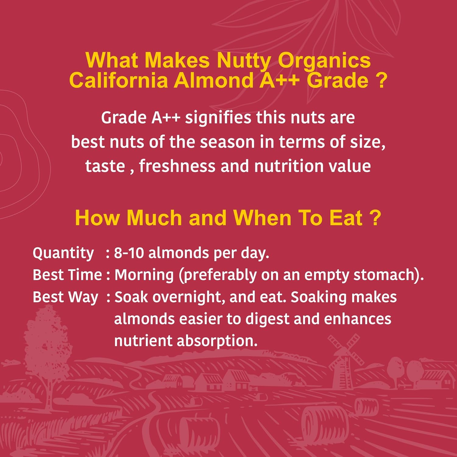 Nutty Organics California Almonds| Hand Selected Jumbo | Tasty & Healthy | High in Protein & Dietary Fiber | Nutritious | Healthy Dry Fruit