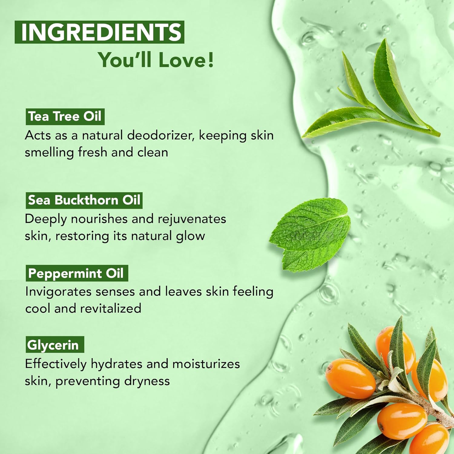 Botanic Hearth Tea Tree Body Wash with Sea Buckthorn Oil, Peppermint Oil | Detoxifies & Rejuvenates | Long Lasting Fragrance | Sulphate & Paraben Free | Shower Gel for Men and Women | 245ml