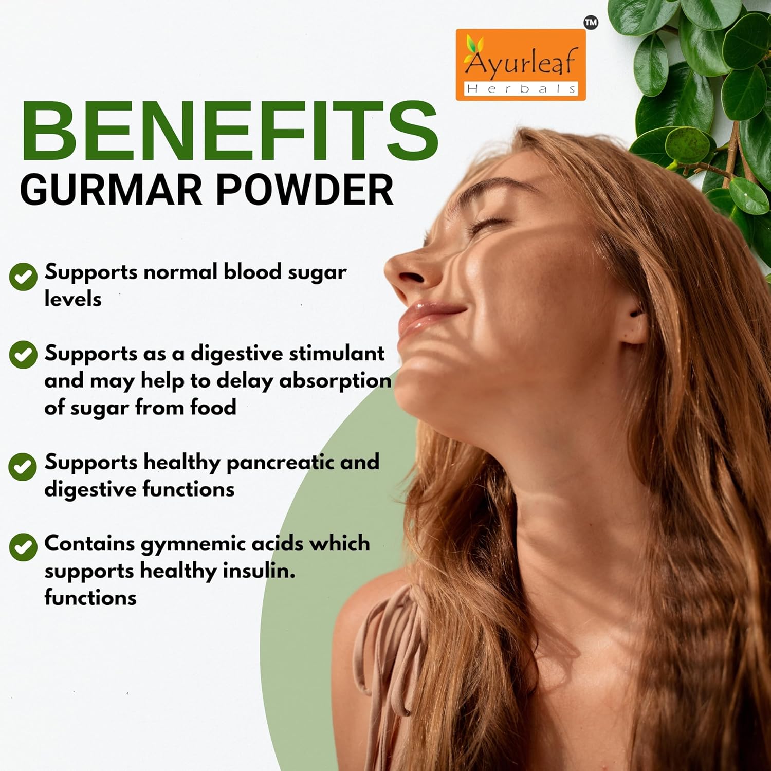 Ayurleaf Herbals Gudmar Powder - 200 Gms