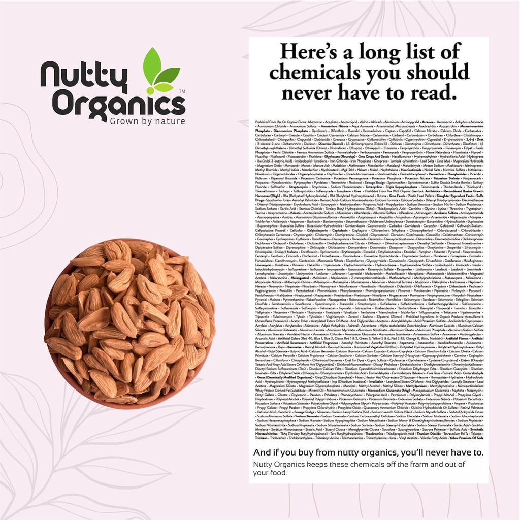 Nutty Organics Almonds Mamra (Grade A ++ Nuts, Premium,Rich In Oil, Imported) Richest Natural Source of Vitamins, Magnesium & Protien | Special Mamra Badam Giri