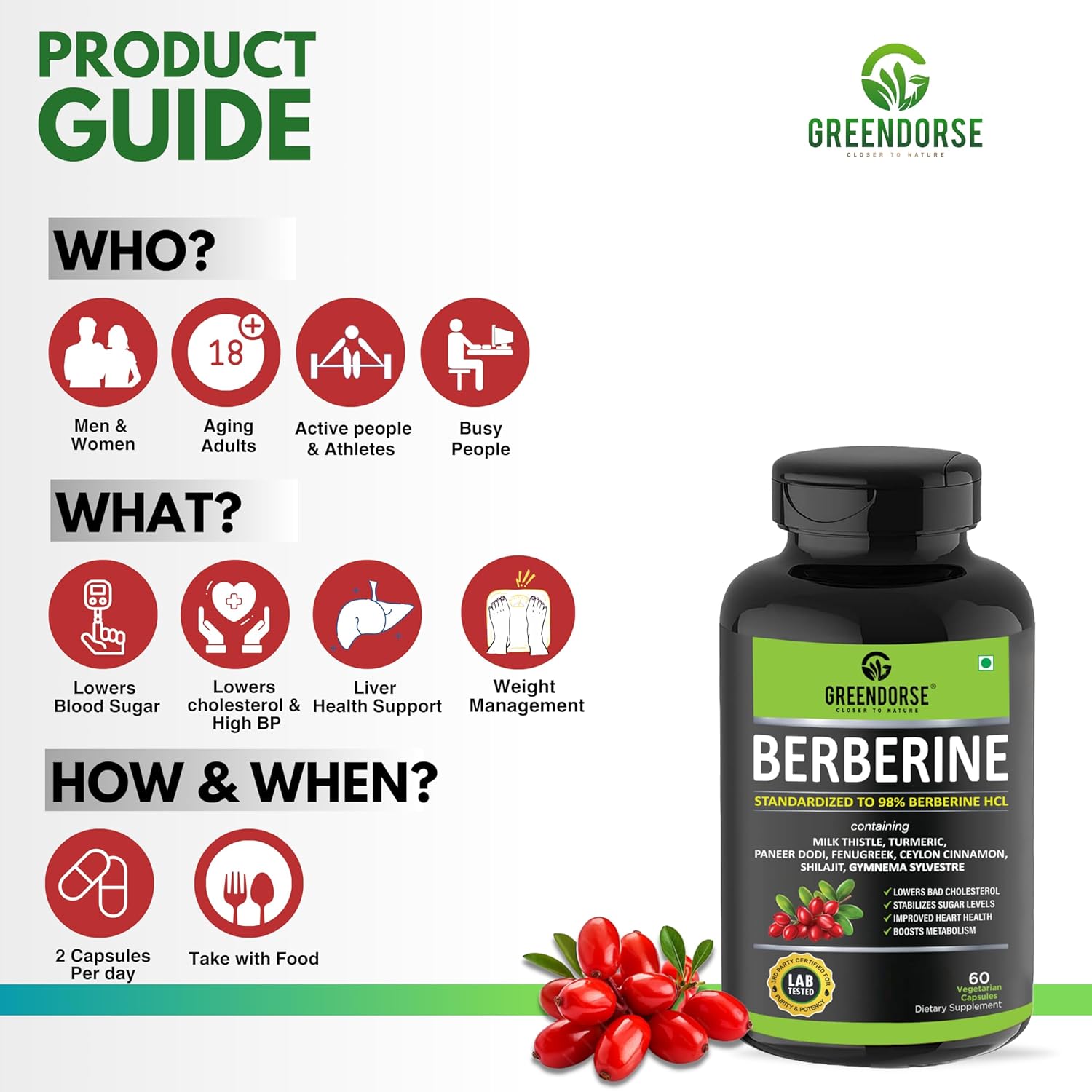 GREENDORSE Berberine HCl 98% - 8 IN 1 GDA Formulation- With Milk Thistle, Gymnema Slyvestre, Ceylon Cinnamon, Indian Rennet (Paneer Dodi), Turmeric, Shilajit, Fenugreek etc | Support Blood Sugar, Liver, Lower Cholesterol, PCOS supplement- 60 Veg Capsules