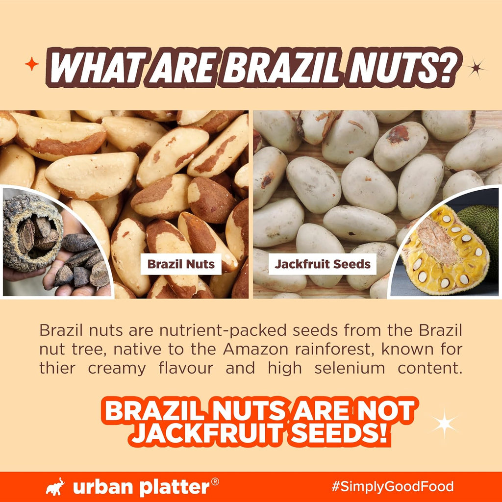 Urban Platter Brazil Nuts, 100g (Rich in Selenium | Superfood | Have 1 Daily | Product of Peru)