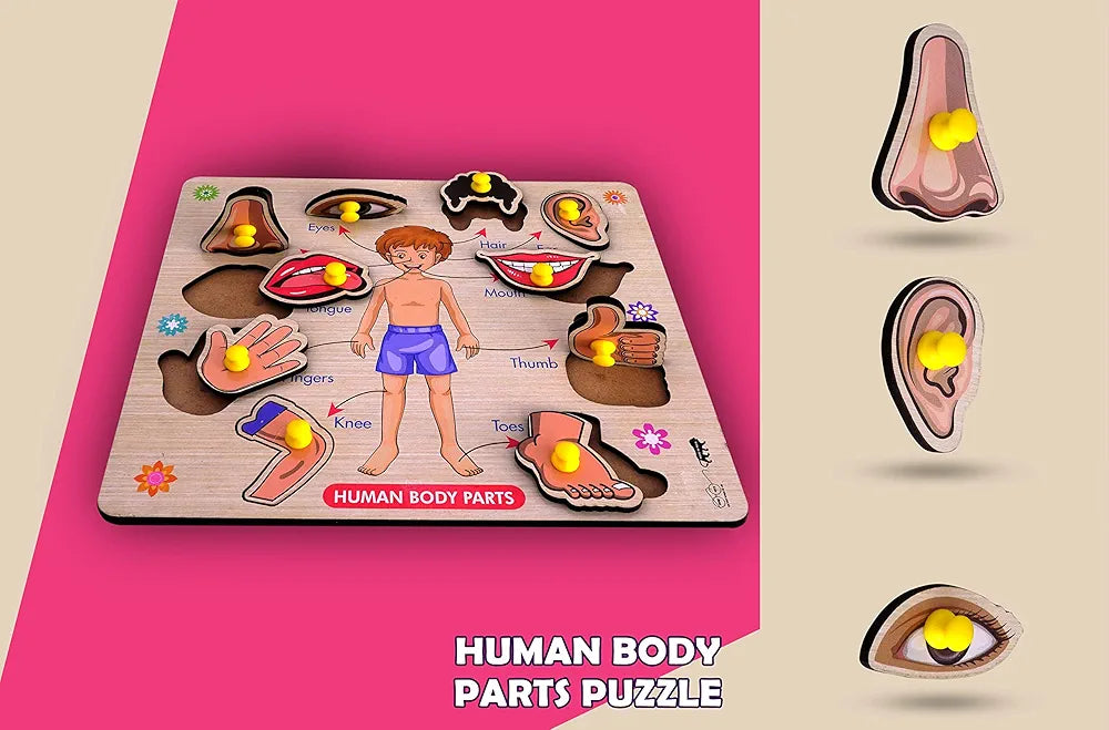 Lefan Body Part Puzzle Kids Wooden Toys for Kids 3 + Jigsaw Puzzles for Adults Baby Learning Toys Educational Toys for 2 Board Game