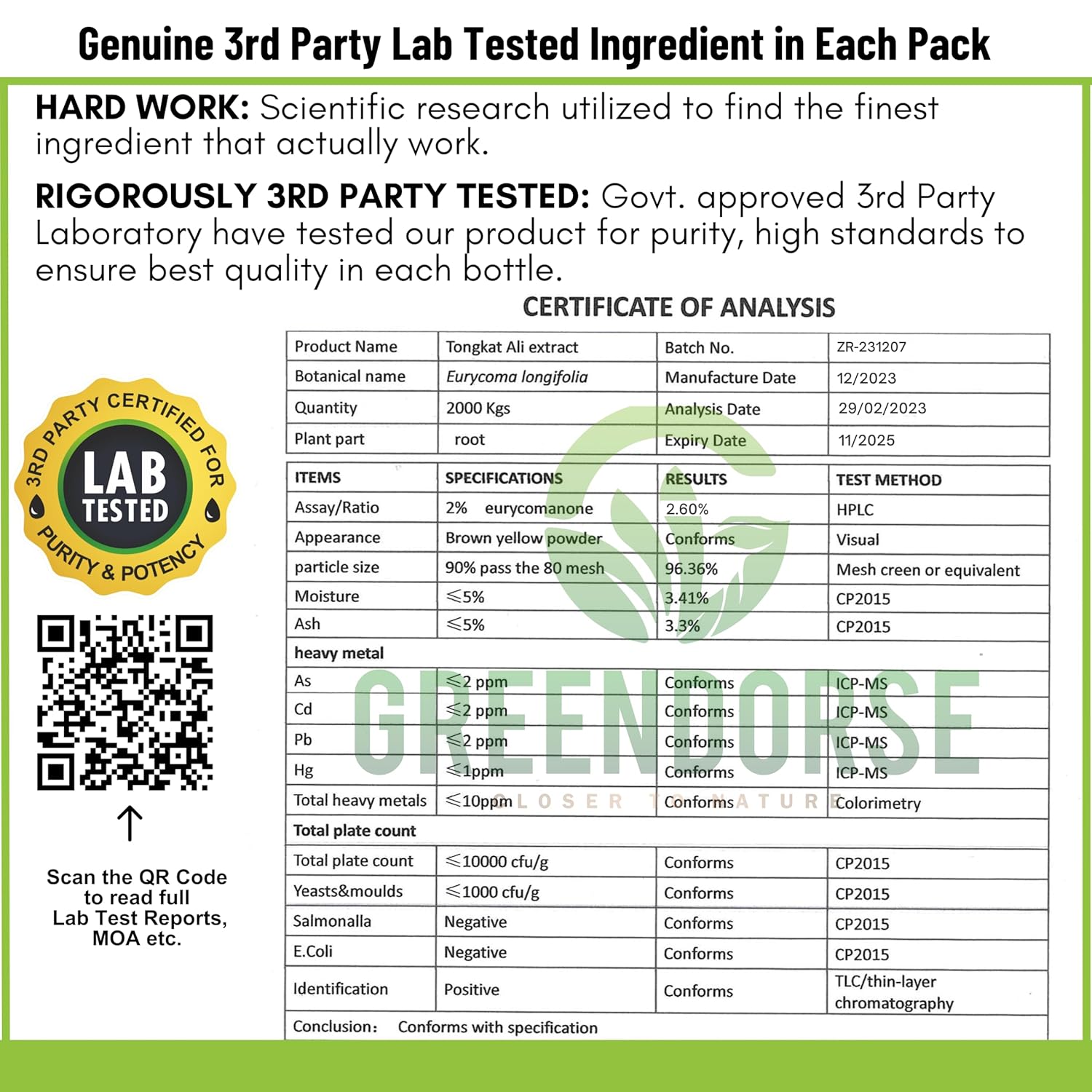 GREENDORSE Organic Tongkat Ali Longjack Root Extract Powder, 2% Eurycomanone | 3 Months Supply | Enhanced T-Level, Stamina and Stress tolerance, Vegan Friendly, 50g