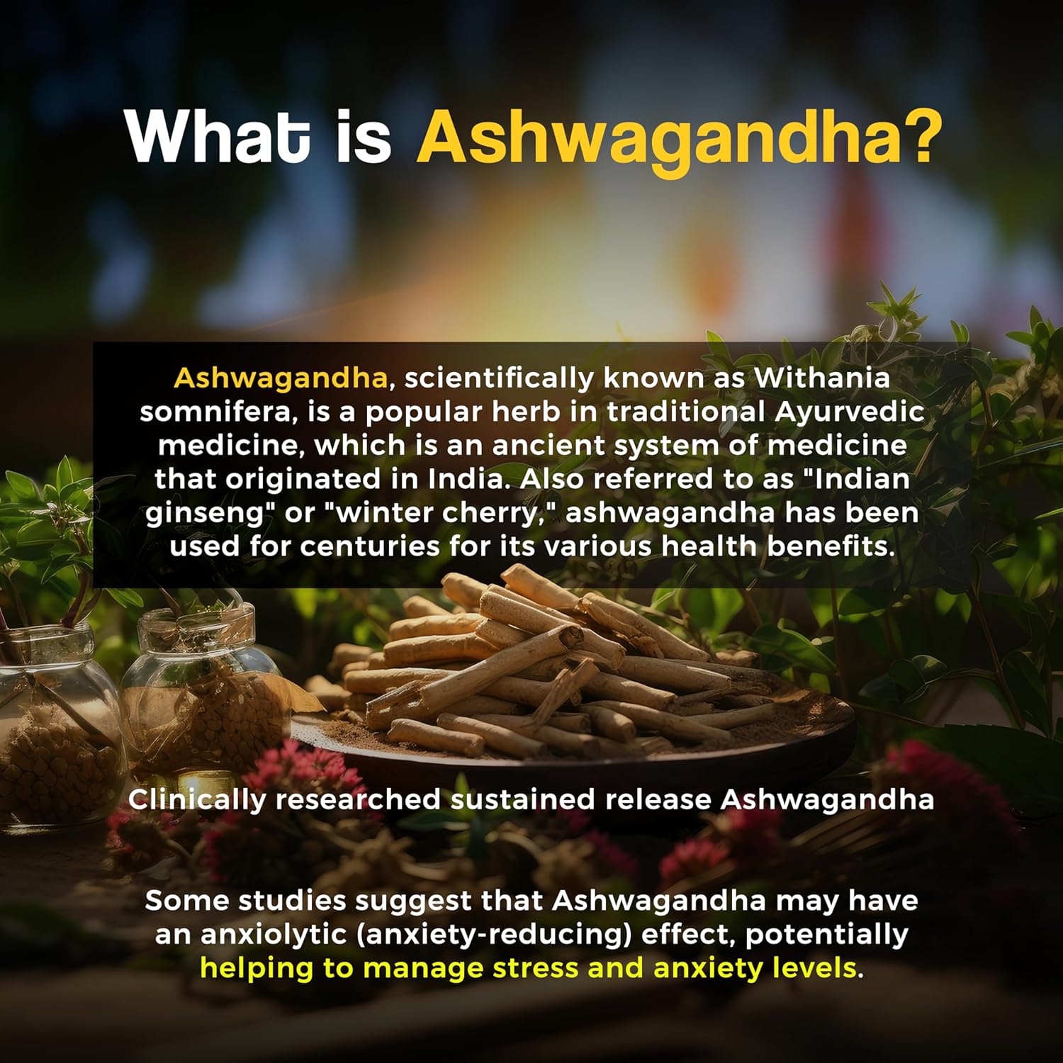 HEALTH VEDA ORGANICS PRIVATE LIMITED Ashwagandha 1000Mg | High Strength Potent Formula | Boosts Immunity & Energy | Rejuvenates Mind & Body | 60 Veg Tablets | For Both Men & Women