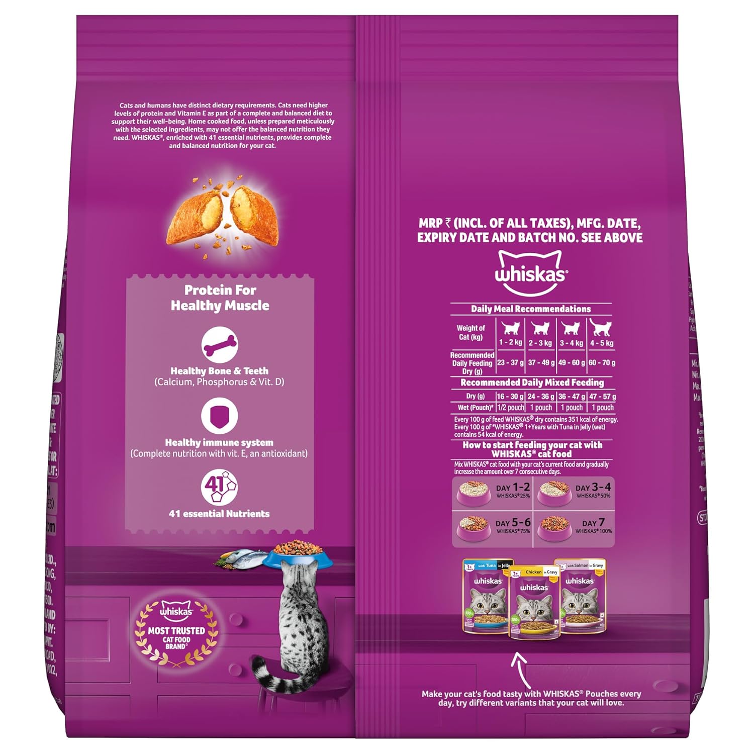 Whiskas Adult (1+ Years) Dry Cat Food, Ocean Fish Flavour, 480 g, Contains 41 Essential Nutrients, Complete & Balanced Nutrition for Adult Cats