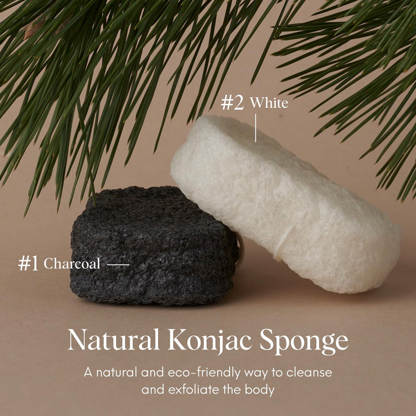 ILEM JAPAN Natural Konjac Body Sponge - Soft White Sponge