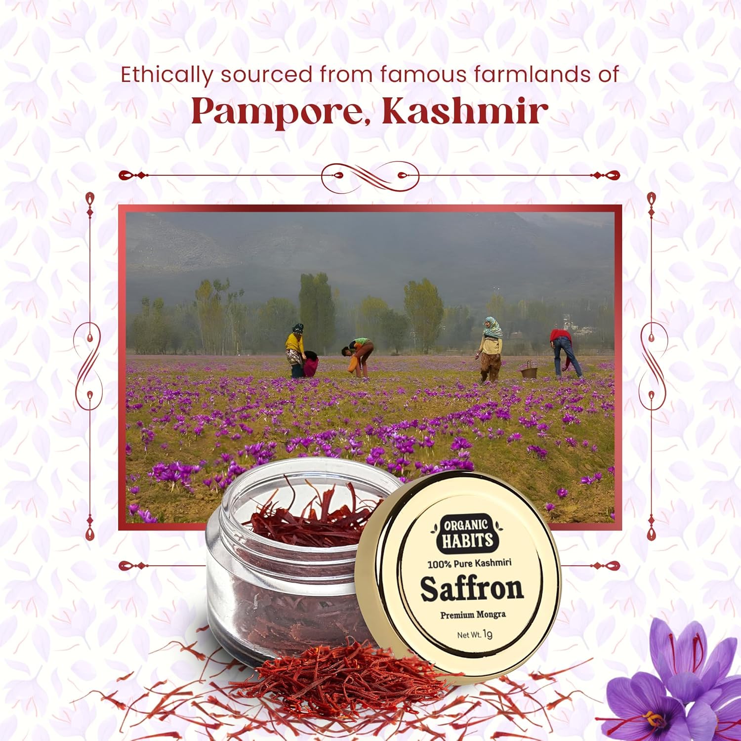 Organic Habits 100% Pure Original Kashmiri Saffron/kesar/kumkuma Puvvu - 1 Gms